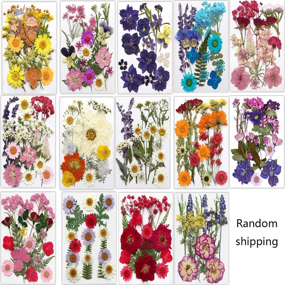 Marque-page de fleurs séchées  - Dried Flower Bookmark avis et prix